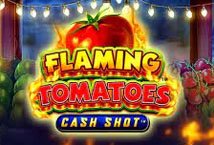 Flaming Tomatoes Cash Shot slot